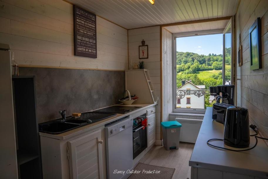 Les Tilleuls Besse-et-Saint-Anastaise Exterior photo